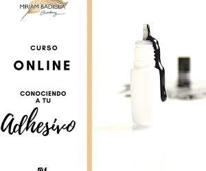 Miniatura del curso